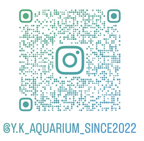 Y.K_AQUARIUM_SINCE2022 Instagram QRコード